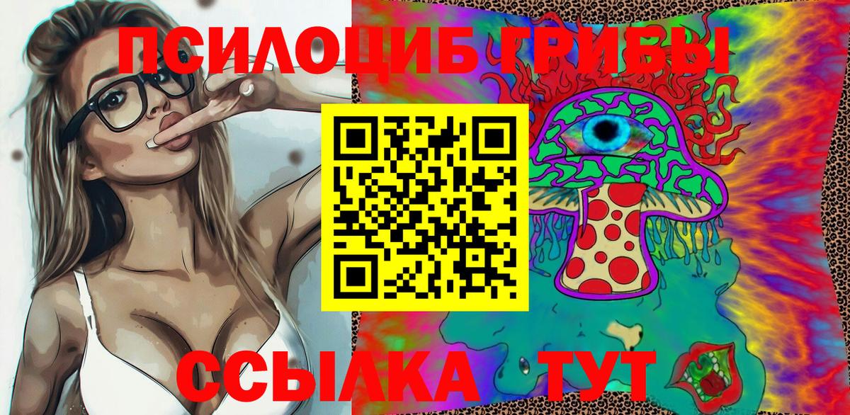 Кимры  Галлюциногенные грибы Psilocybine cubensis  Галлюциногенные грибы прущие грибы  Вход с VPN 