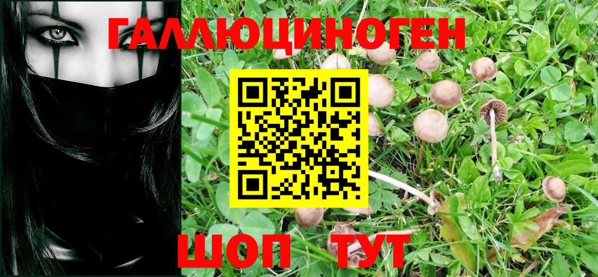 Галлюциногенные грибы мицелий Кимры