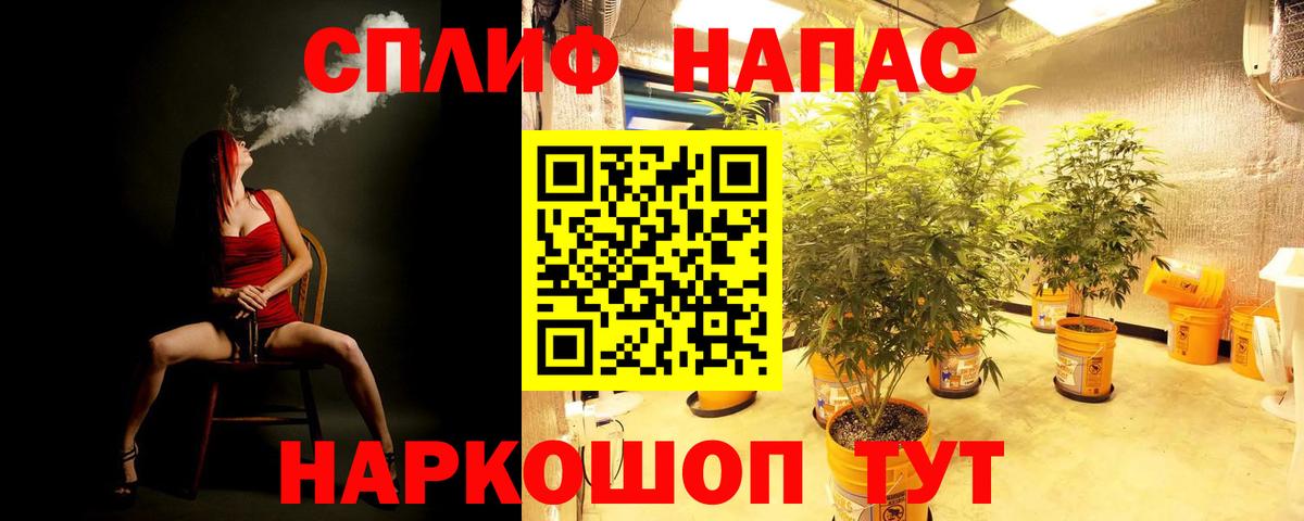 Конопля планчик  Канабис планчик  Бошки марихуана Bruce Banner  Шишки марихуана план  Кимры  Вход с VPN 